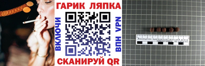 Купить  Арамиль  ГАШ Premium 