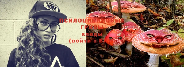 2c-b Корсаков